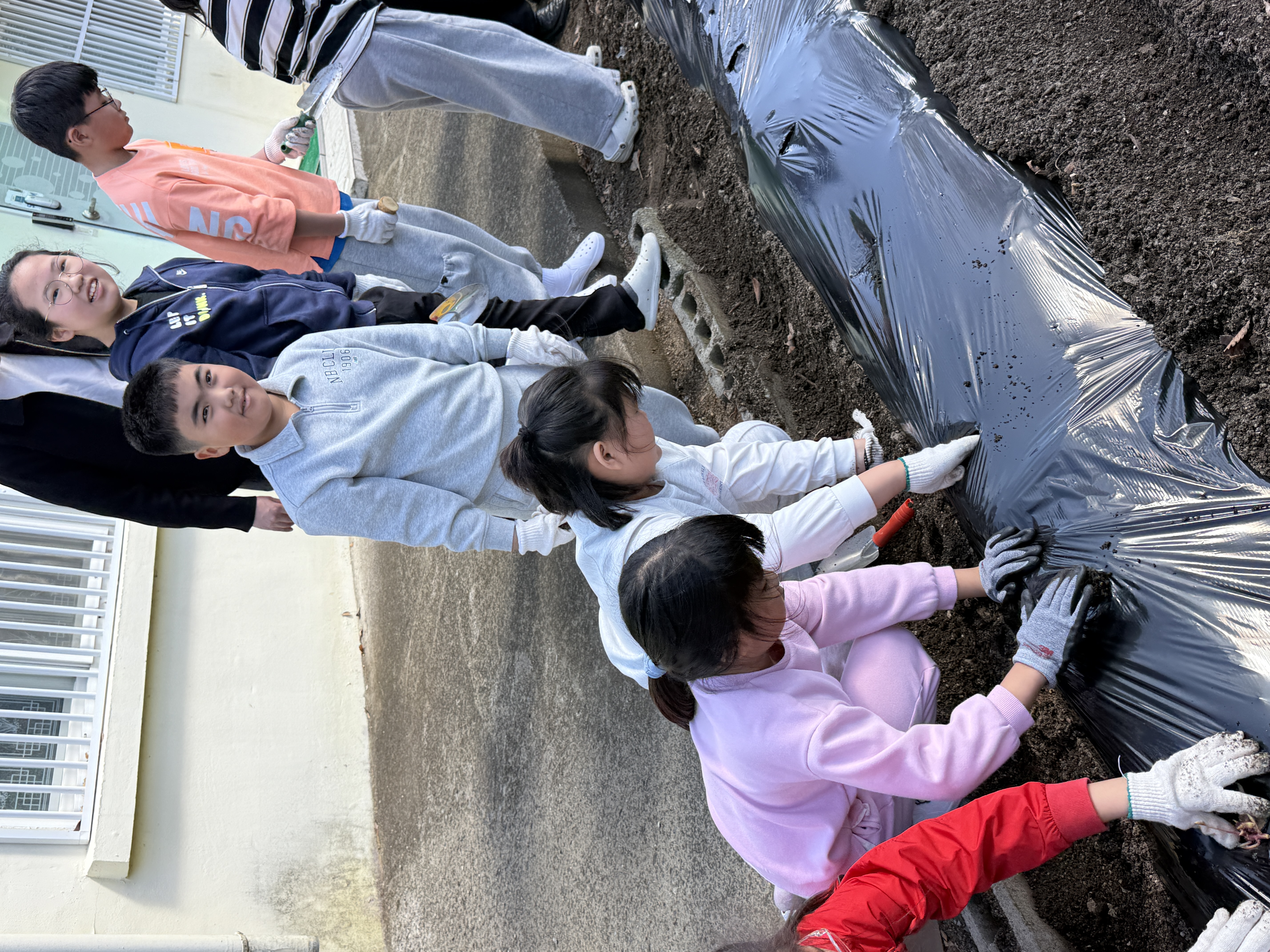 동복초, 「지9하는 학교」 프로젝트로 전교생 텃밭 감자 심기 실시