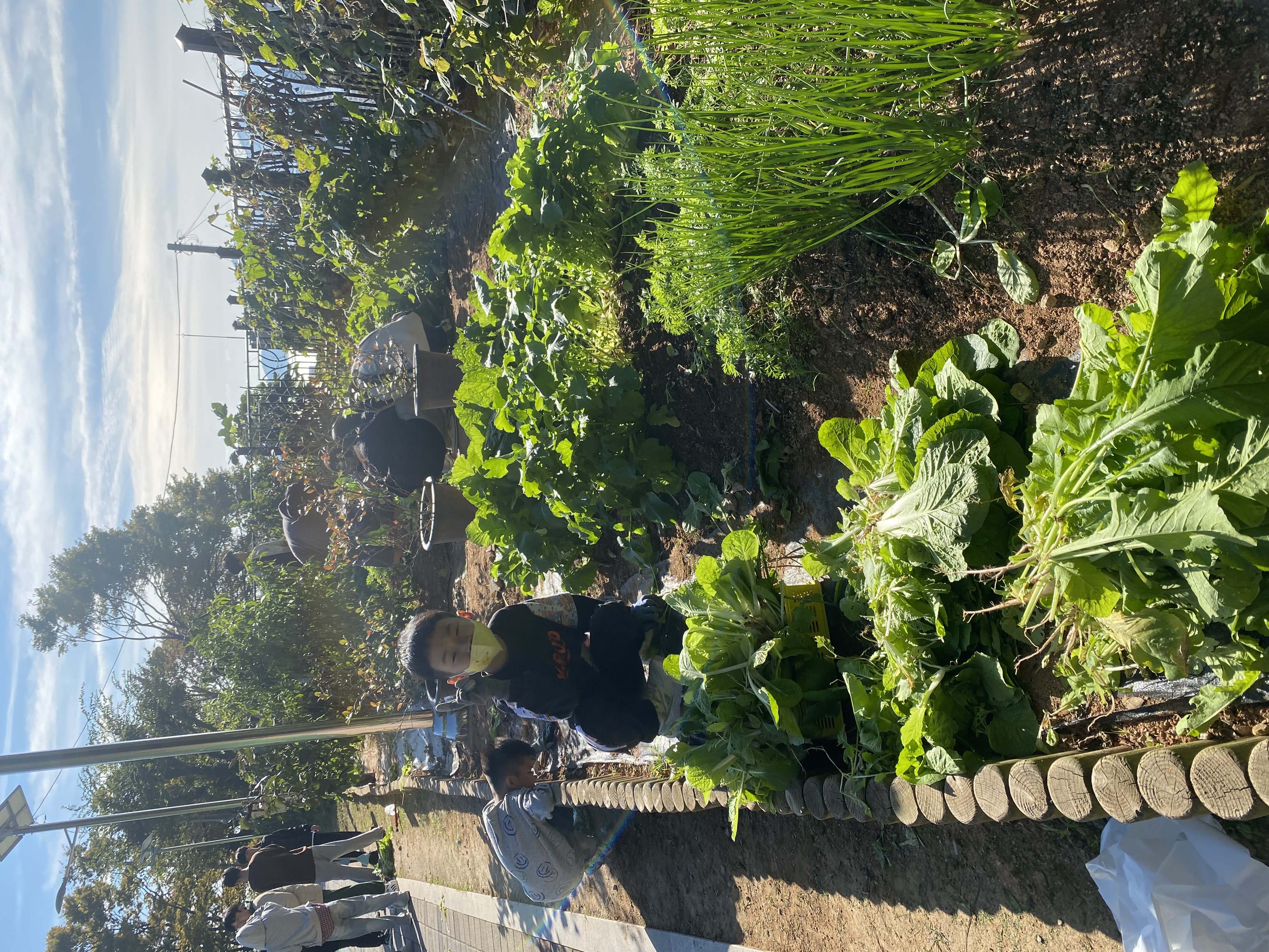 2025. 학교 도시농부 자투리 텃밭 수업